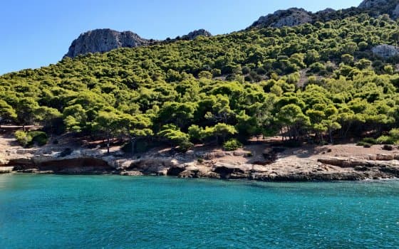 Pine-covered hills and clear blue sea on a sunny day in Greece